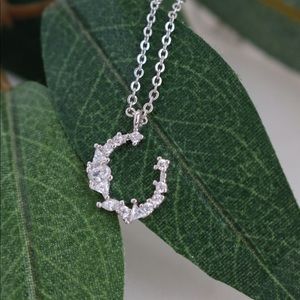 Dainty sterling crescent moon necklace.